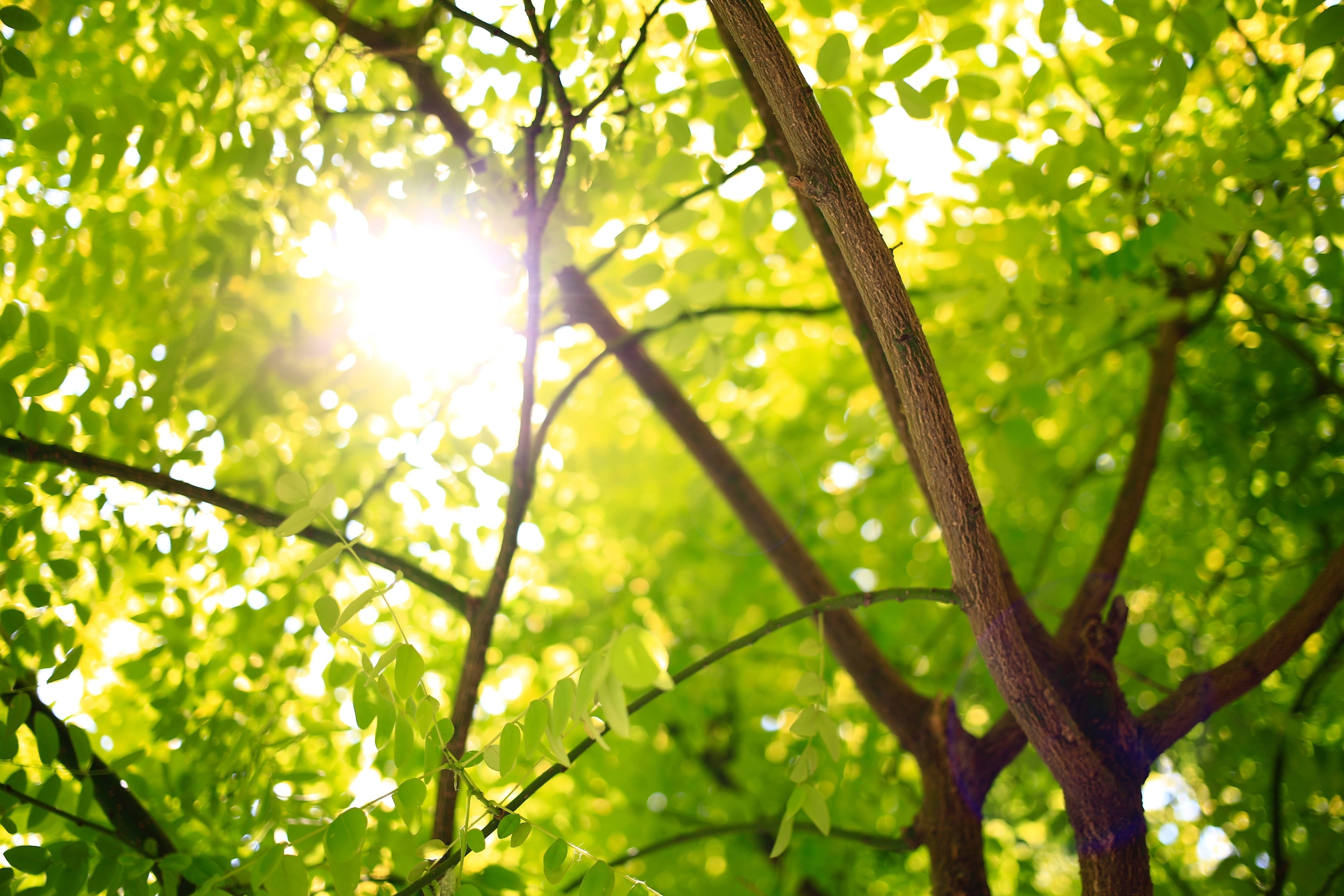Immagine: Ambiente