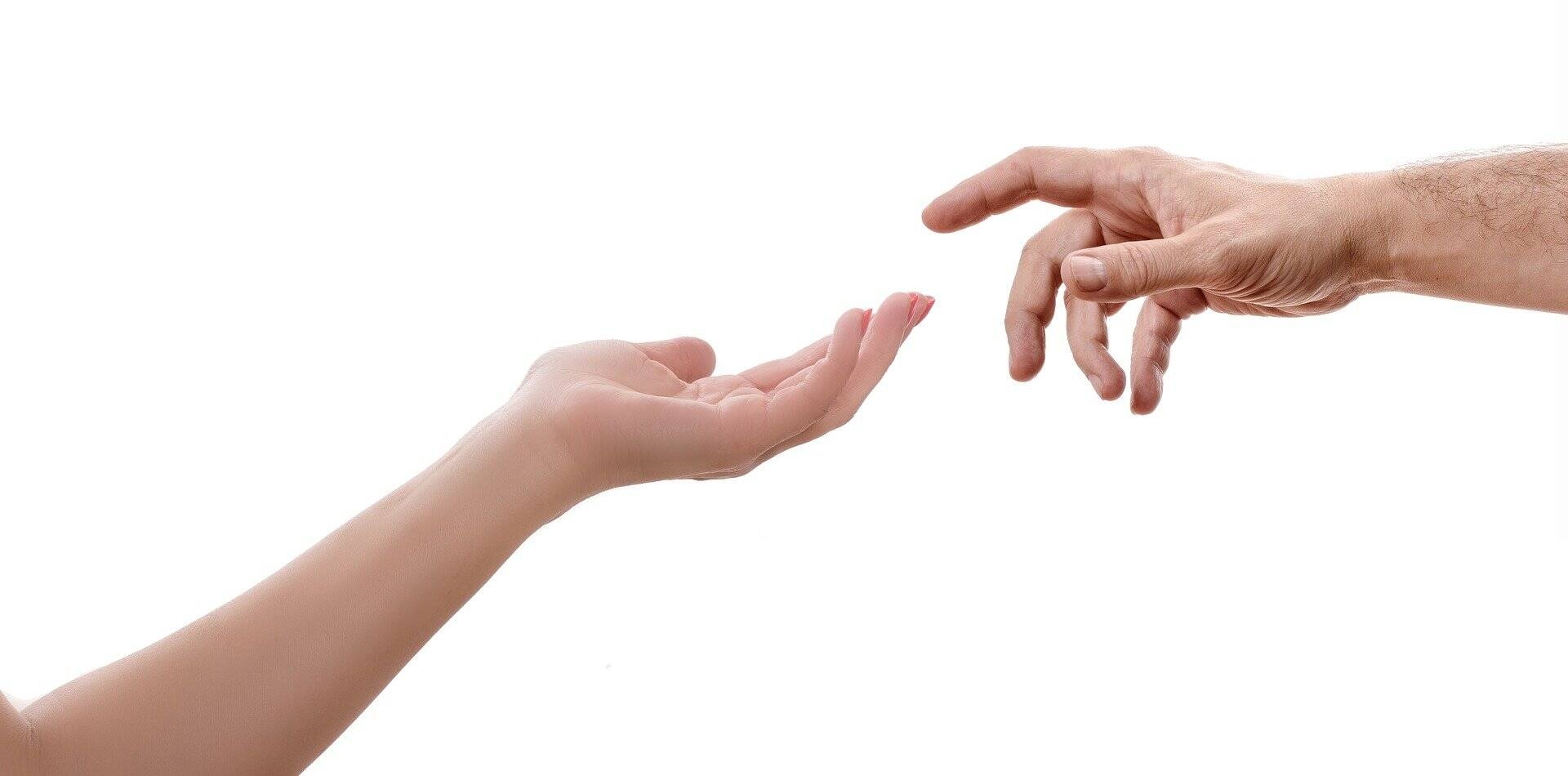 Immagine: supporto